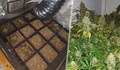 Полицаи разбиха оранжерия за марихуана във Варна