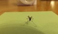 Домашен спрей против комари