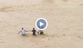 Катаклизми: Ураган в Луизиана, наводнения в Непал, пожари на Хаваите