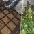 Полицаи разбиха оранжерия за марихуана във Варна