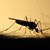 БАБХ:  Пръскането срещу комари продължава