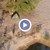 МВР показа кадри от дрон на акцията по залавянето на дунавските каналджии