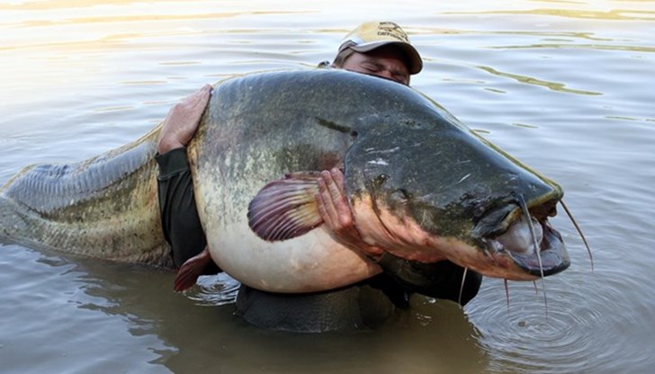 Чудовището тежи 125 килограма