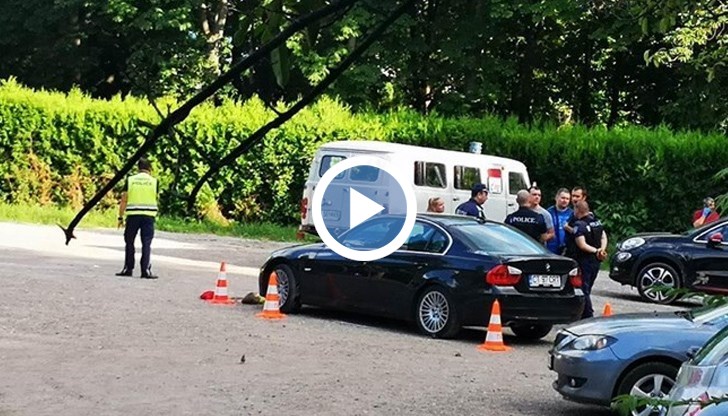 Пътна полиция и КАТ могат да глобяват неправомерно влезлите автомобили в парка