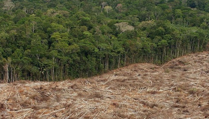 През 2018 година главно в Амазония са били обезлесени терени с площ над 197 000 хектара