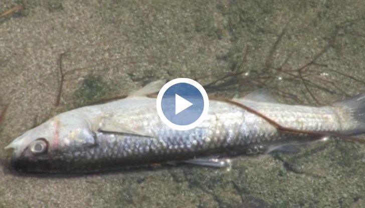 Местни хора твърдят, че някой източва водата
