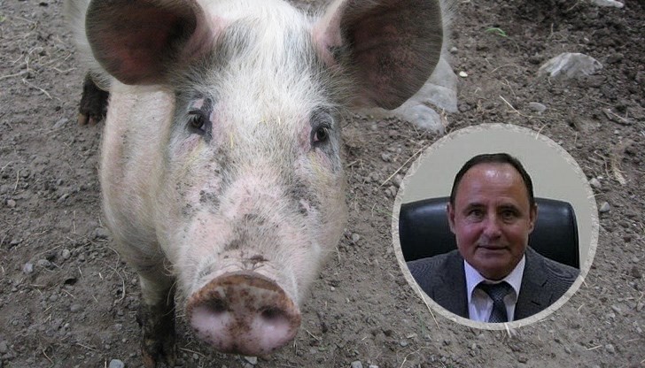 Няма как да съвместим тези кочини, с борбата с болестите