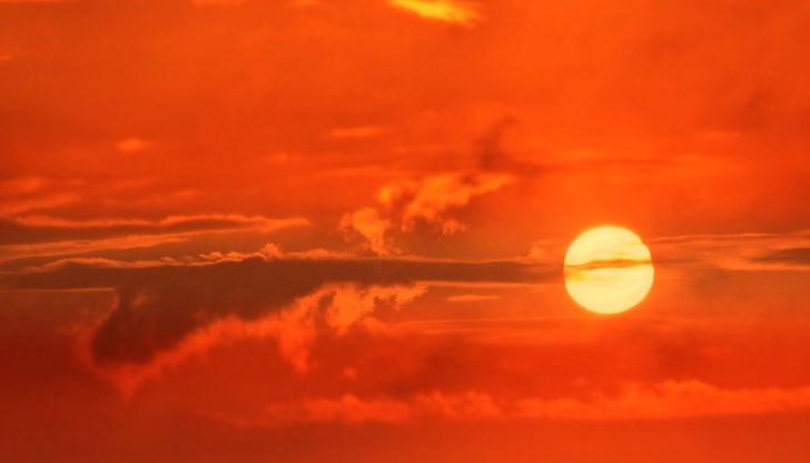 Ако днес видите змия я кълнете с думите: "Нека света Марина да те умарини!"