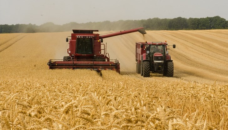 Жътвата на пшеница в Русенско е към своя край