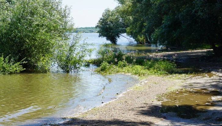След пръскането имаме около едно денонощие затишие, след което комарите пак излизат, заяви кметът на Сливо поле