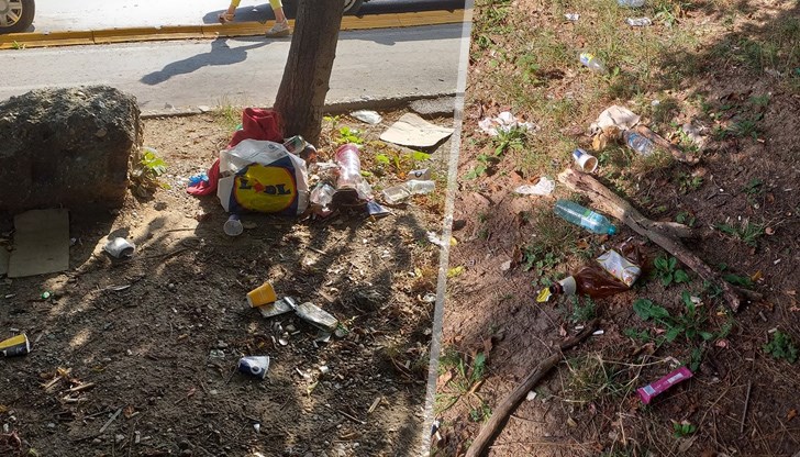 Вижте през каква гнус ежедневно преминавам. Срам ме е!