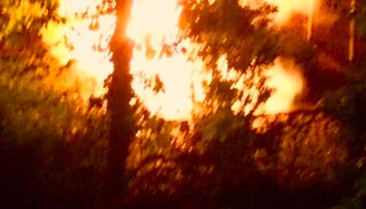 Според професора, това е криминален акт Според професора, това е криминален акт