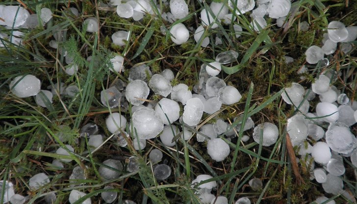 Лошото време доведе до изкореняване на дървета и съответно - до проблеми в трафик Лошото време доведе до изкореняване на дървета и съответно - до проблеми в трафик