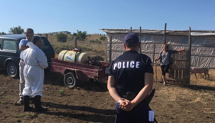 Драмата е още по-голяма за повечето стопани, защото много от животните са се опрасили и в момента имат малки