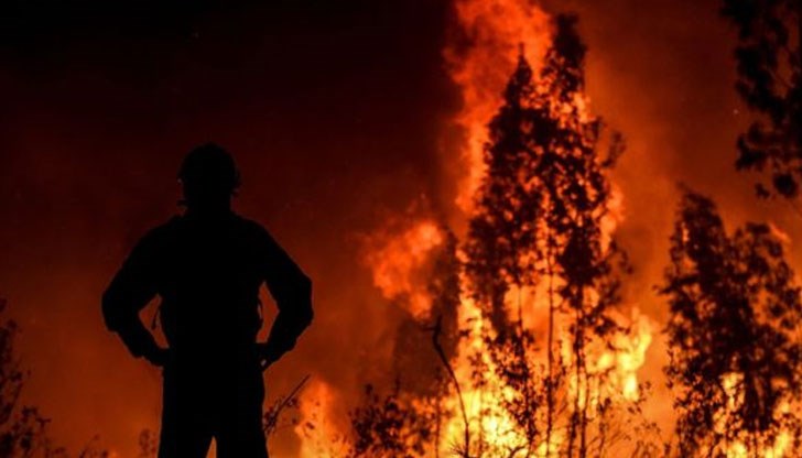 Над 1000 пожарникари и 5 самолета са в района на Кастело Бранко и вече повече от три дни гасят огъня