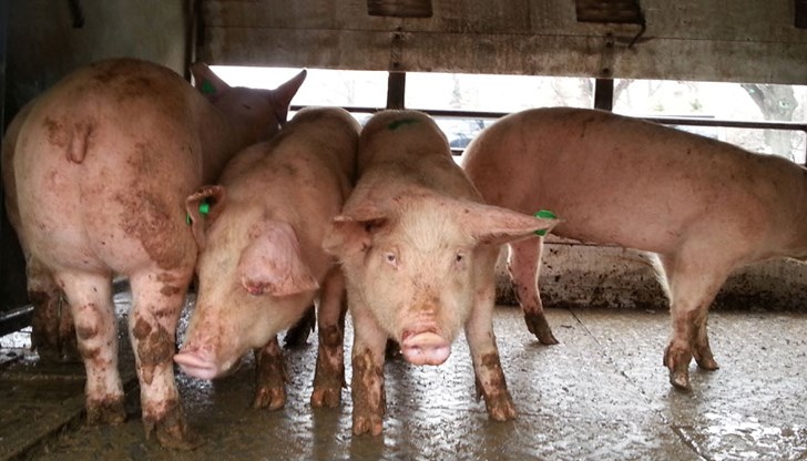 Областният управител разпорежда кметовете на населените места да оказват пълно съдействие Областният управител разпорежда кметовете на населените места да оказват пълно съдействие