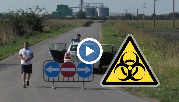 Ново огнище на африканска чума по свинете в индустриална ферма в област Русе