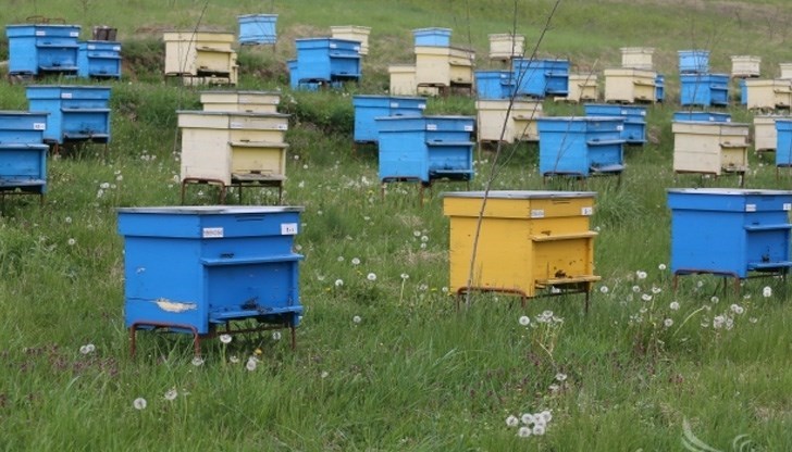 Брат и сестра, както и председатели на земеделски кооперации са дадени на прокурор Брат и сестра, както и председатели на земеделски кооперации са дадени на прокурор