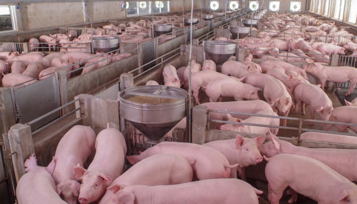 Euronews е новинарската телевизия на Европейския съюз Euronews е новинарската телевизия на Европейския съюз