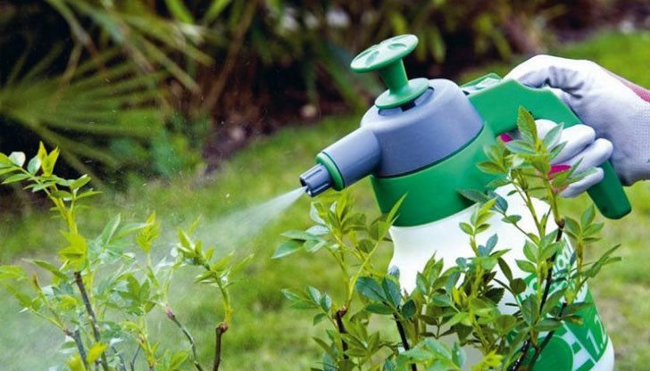 За да имате здрави и силни растения, но без да използвате фосфати и други агресивни и вредни химикали, ето няколко съвета, с които да заместите препаратите За да имате здрави и силни растения, но без да използвате фосфати и други агресивни и вредни химикали, ето няколко съвета, с които да заместите препаратите