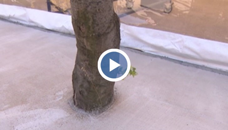 Обяснението на строителите е, че явно някой от работниците е бил „малоумен”