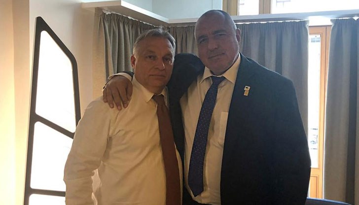 Вижте физиономията на Орбан на снимката и много неща за популярността на Баце ще ви се изяснят Вижте физиономията на Орбан на снимката и много неща за популярността на Баце ще ви се изяснят