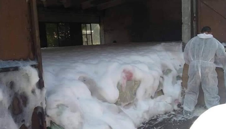 Животните се умъртвяват с пожарникарска пяна