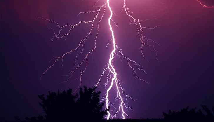 Според местната полиция мълнията е оставила следи по тялото на мъжа и по дървото, до което е стоял Според местната полиция мълнията е оставила следи по тялото на мъжа и по дървото, до което е стоял