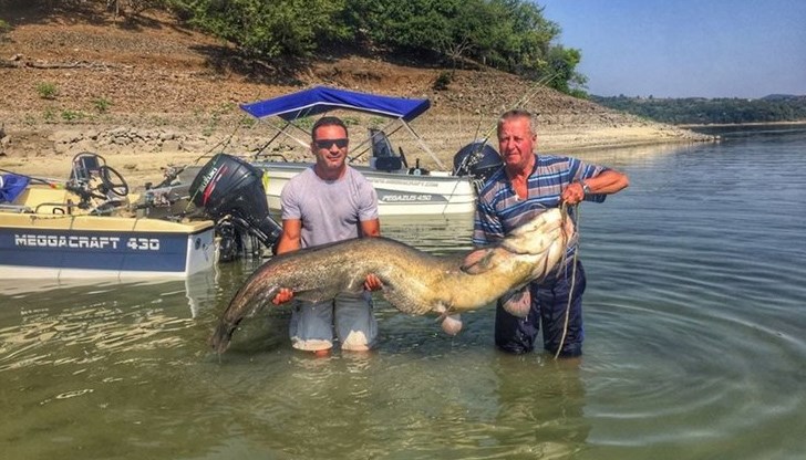 След едночасова борба, рибата била изтеглена на брега След едночасова борба, рибата била изтеглена на брега