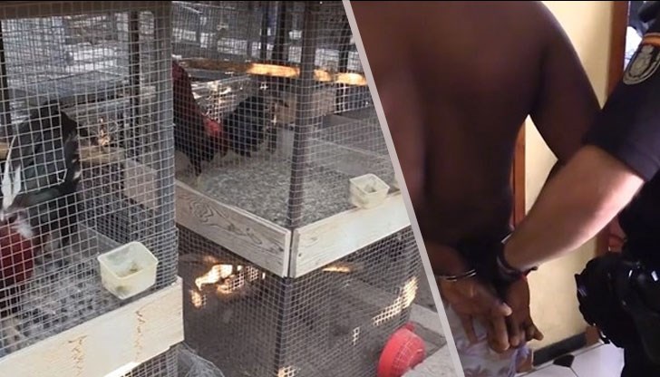 Българи са замесени още в наркотрафик и кражби на коли