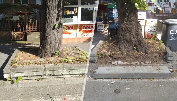 Това стана след като млада влюбена двойка седна да си почине от жегите. Цяло чудо е че не ги сполетя беда