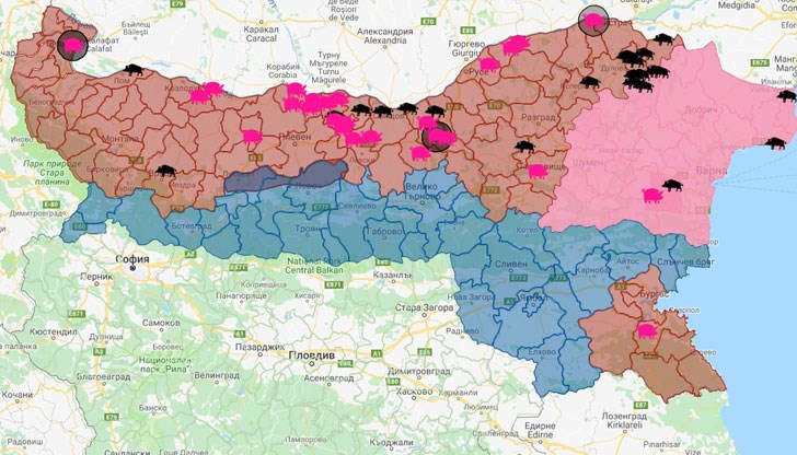 В него се отглеждат 17 000 прасета