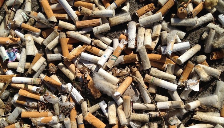 Те не се разграждат и пречат на растежа на растенията Те не се разграждат и пречат на растежа на растенията