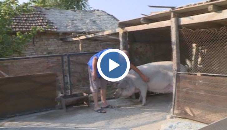 Взели сме мерки, не ми се иска обаче заради глупостта на някого направеното да пропадне, заяви Свилен Иванов