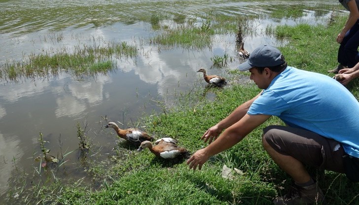 Желаещите да подкрепят благородната кауза могат да се обадят в централата на екоинспекцията на тел. 082/ 820 772 Желаещите да подкрепят благородната кауза могат да се обадят в централата на екоинспекцията на тел. 082/ 820 772