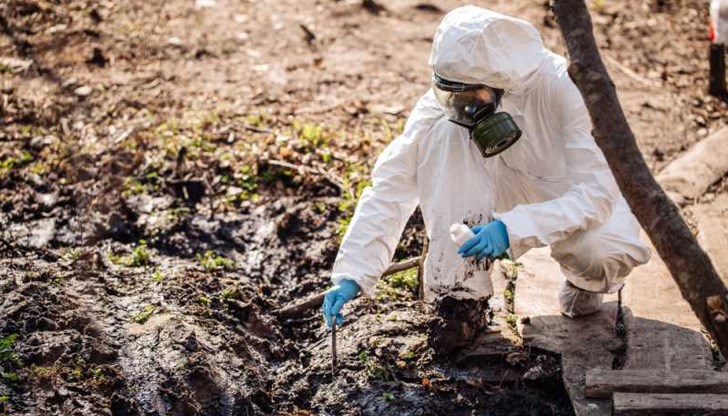 Единствената незасегната ферма е в Юделник Единствената незасегната ферма е в Юделник