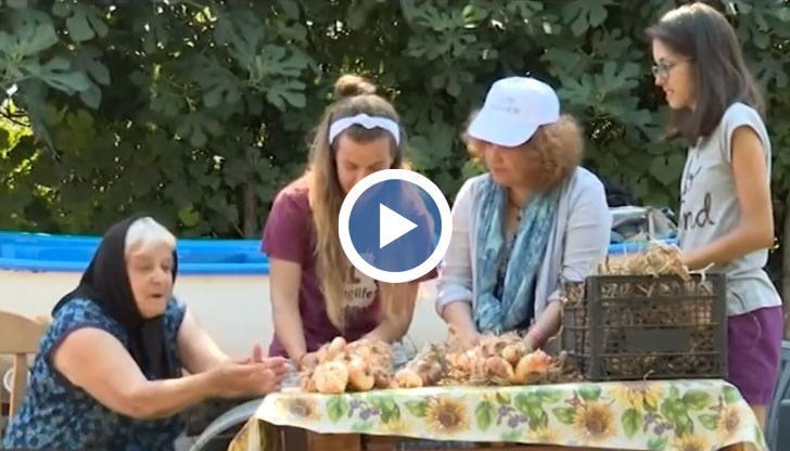 Доброволците помагат на възрастните хора с къщната работа, в замяна получават топла закуска, меко легло, люта ракия и много любов