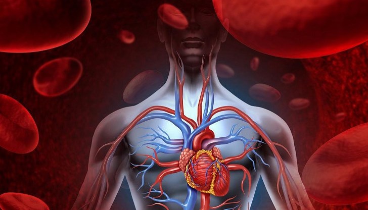 Научният пробив може да доведе до появата на нови методи за лечение. Научният пробив може да доведе до появата на нови методи за лечение.