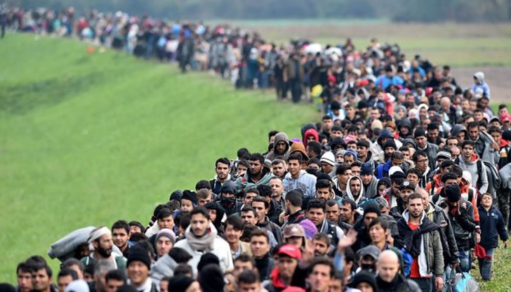 В хода на преследването им, полицейски автомобил се е ударил в дърво и се е преобърнал В хода на преследването им, полицейски автомобил се е ударил в дърво и се е преобърнал