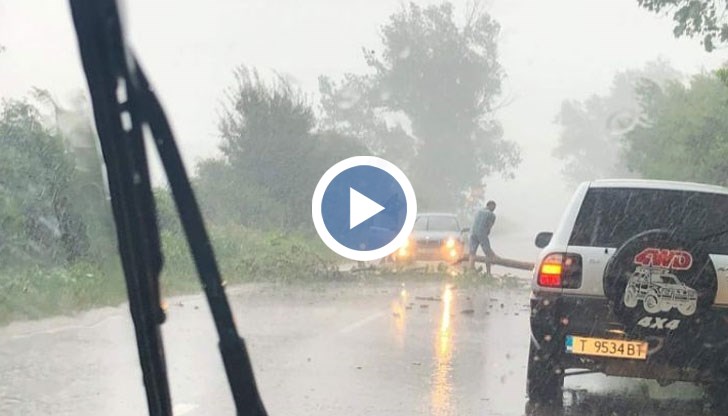 Междувременно на пътя Попово – Разград паднало дърво препречи пътя
