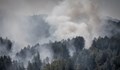 Две вили изгоряха при пожара в Софийско