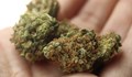 Полицаи иззеха пакетче марихуана от шофьор в Борово