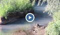 Цветни води се изливат в Русенски Лом