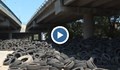 АПИ започва проверки за сметища под мостове в цялата страна