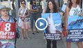 Протест с искане за затваряне на делфинариума във Варна