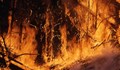 500 пожарникари се борят с горски пожар в Португалия