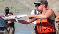 Сьомгата в Аляска загива заради горещините