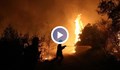 25 000 декара гори са изгорели в пожара на остров Евбея