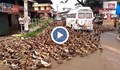 "Цунами" от бягащи патици в Индия