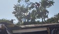 Момичета кацнаха върху дърво след инцидент с атракцион в Созопол